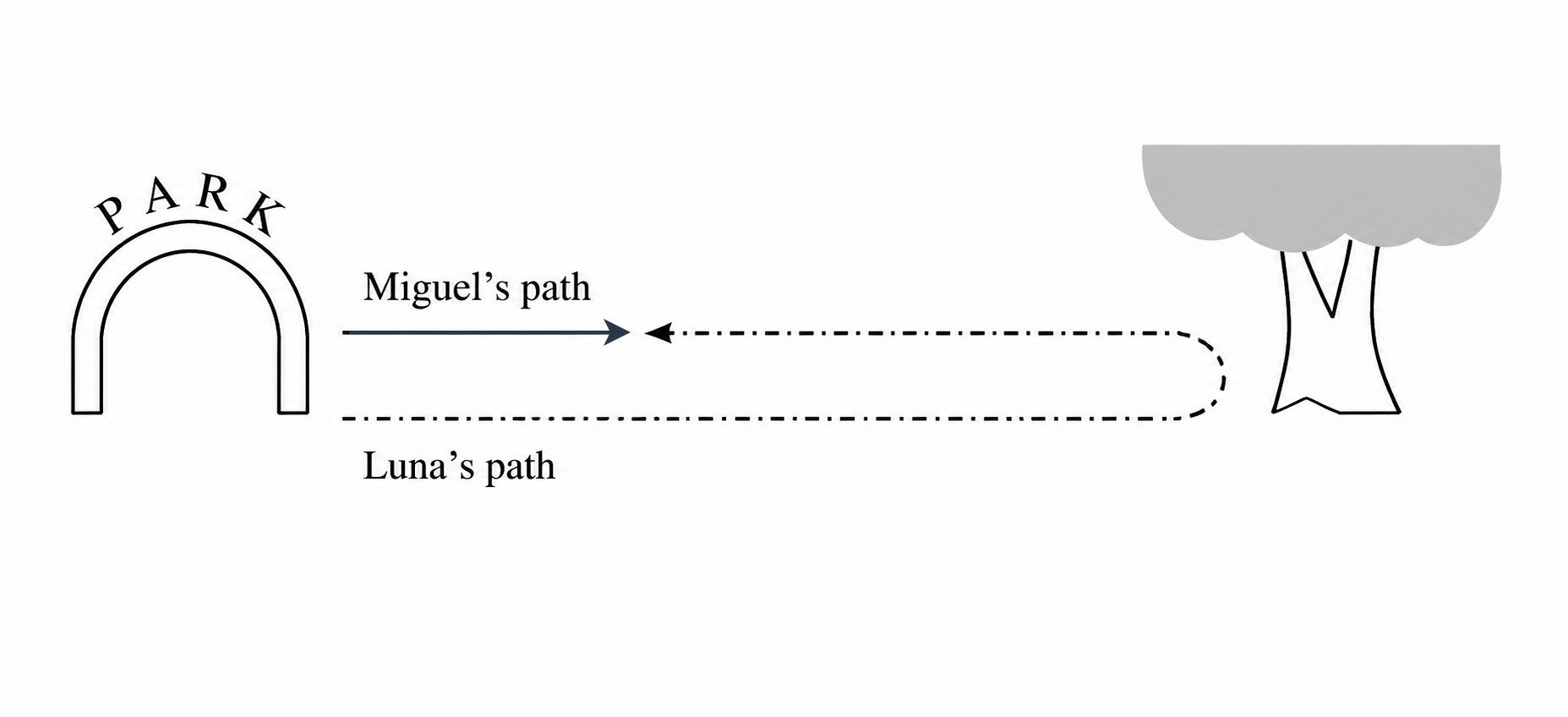 Miguel's path and Luna's path between the park entrance and the tree