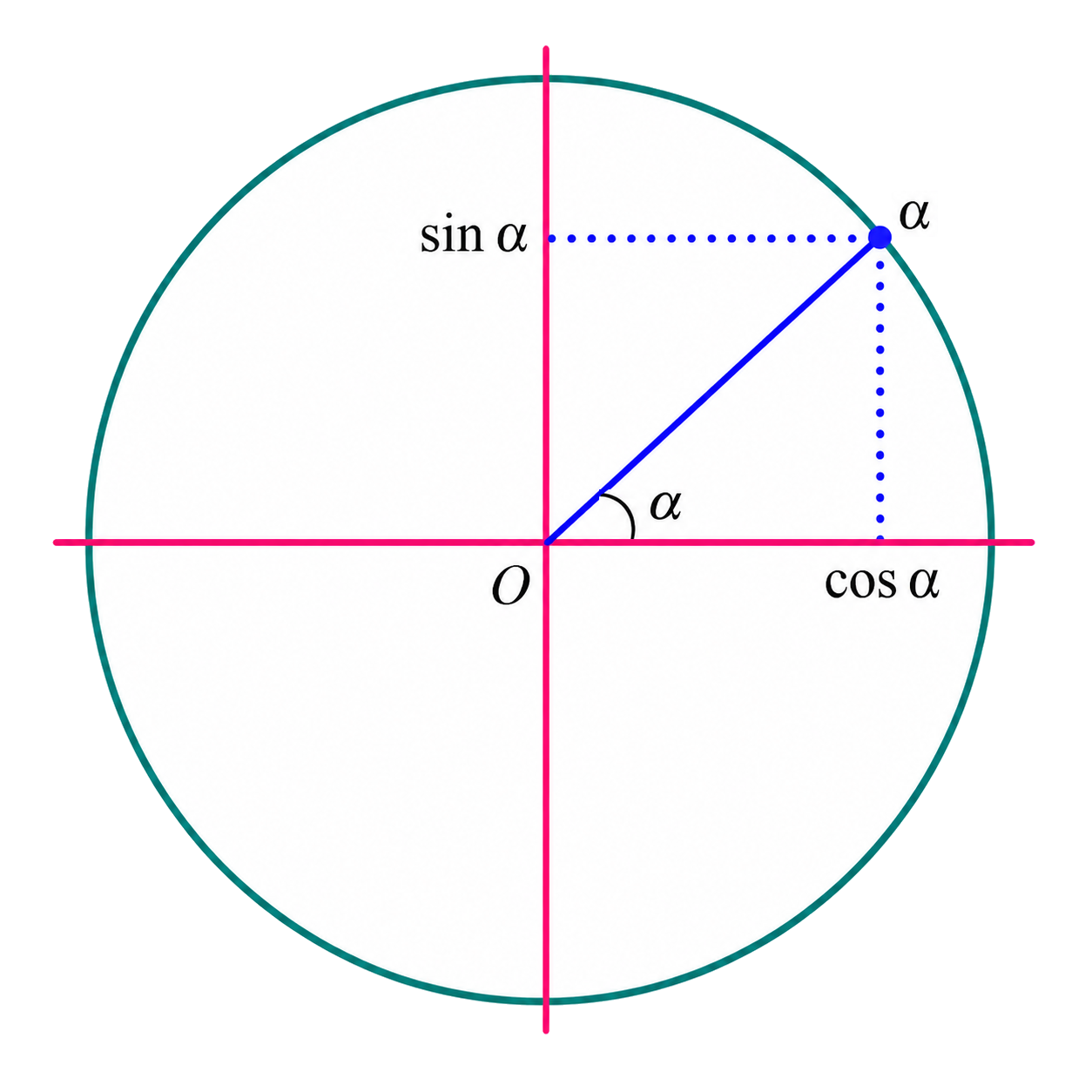 Unit circle showing sin alpha and cos alpha