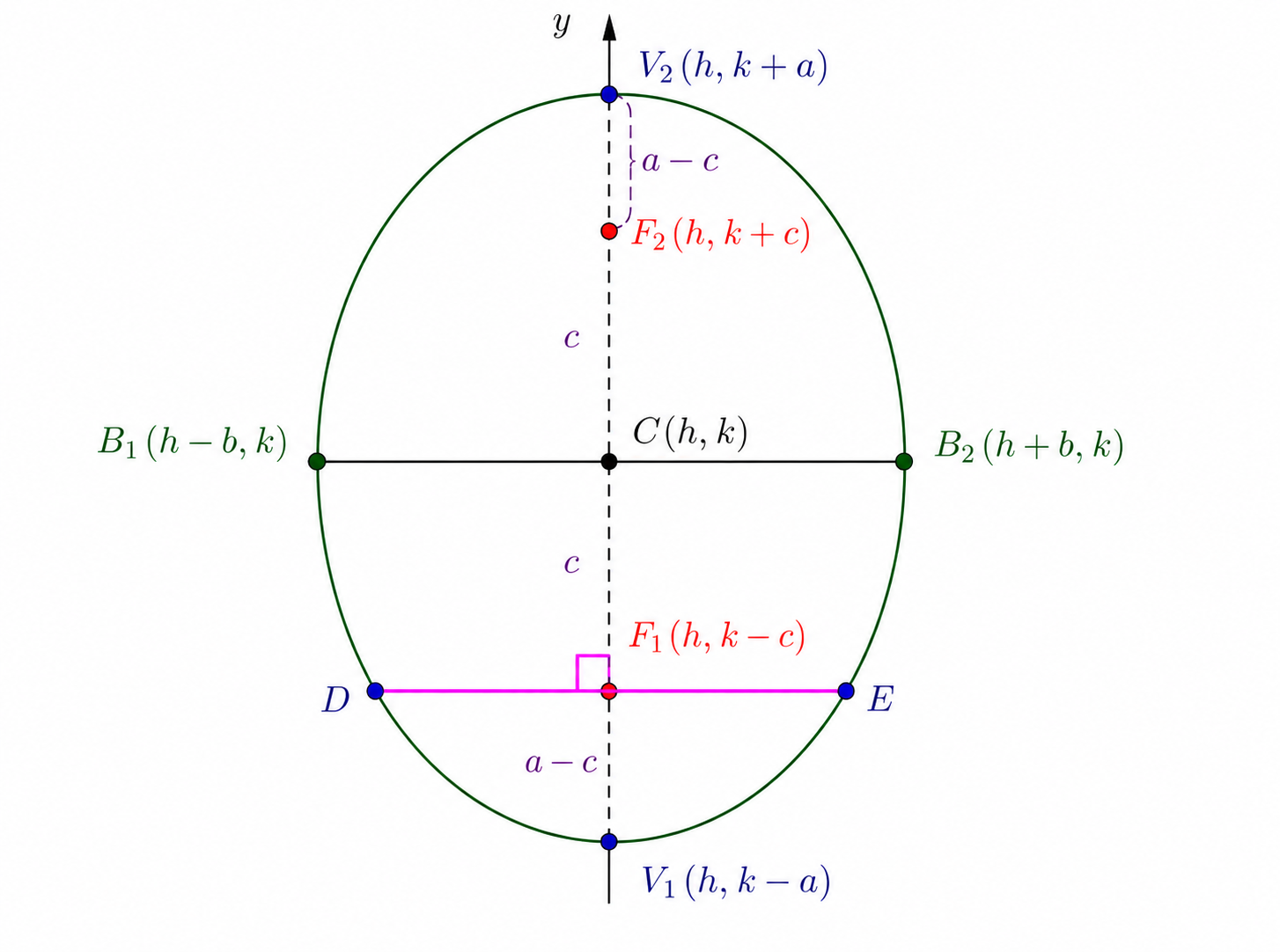 Latus rectum of a vertical ellipse