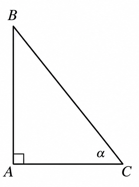 Right triangle ABC with right angle at A and angle alpha at C