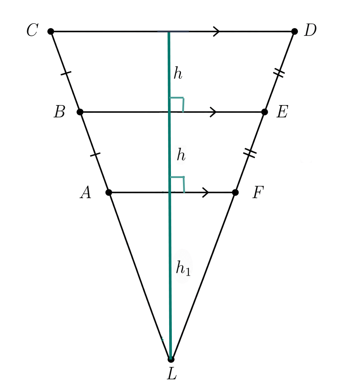 Cross section showing the three vertical height segments