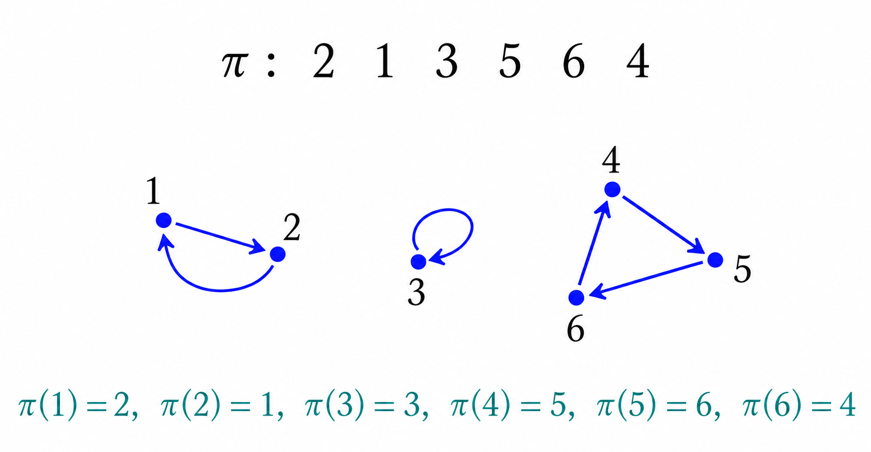 A permutation represented as a disjoint union of directed cycles
